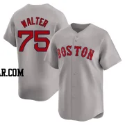 Brandon Walter Men's Boston Red Sox Gray Limited Away Jersey