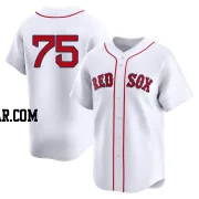 Brandon Walter Men's Boston Red Sox White Limited 2nd Home Jersey