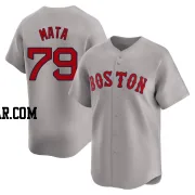 Bryan Mata Youth Boston Red Sox Gray Limited Away Jersey