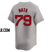 Bryan Mata Youth Boston Red Sox Gray Limited Away Jersey