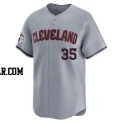 Cam Gallagher Men's Cleveland Guardians Gray Limited Road Jersey