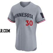 Carlos Santana Men's Minnesota Twins Gray Elite Road Jersey