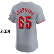 Casey Legumina Men's Cincinnati Reds Gray Elite Road Jersey