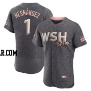 Cesar Hernandez Men's Washington Nationals Gray Authentic 2022 City Connect Jersey