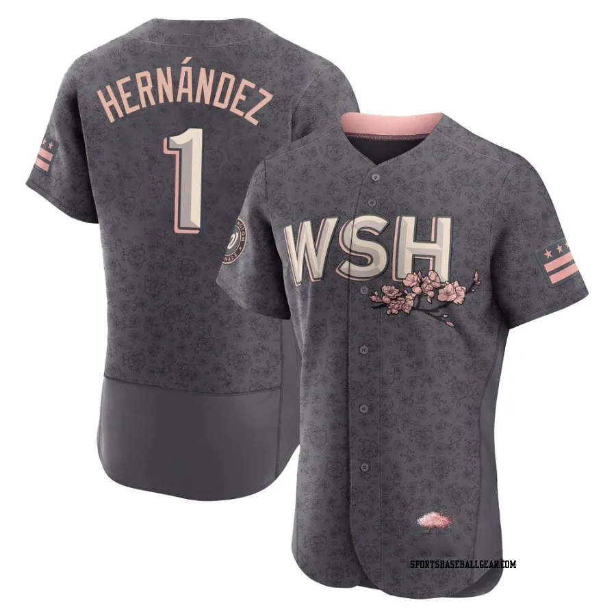 Cesar Hernandez Men's Washington Nationals Gray Authentic 2022 City Connect Jersey