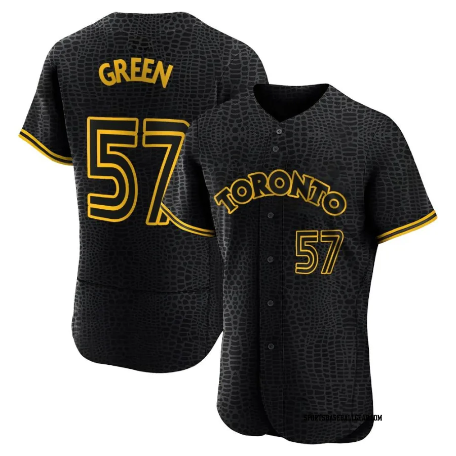 Chad Green Men's Toronto Blue Jays Black Authentic Snake Skin City Jersey