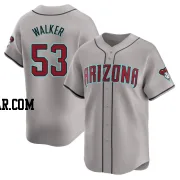 Christian Walker Youth Arizona Diamondbacks Gray Limited Away Jersey