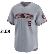 CJ Abrams Youth Washington Nationals Gray Limited Road Jersey