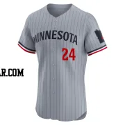 Cole Irvin Men's Minnesota Twins Gray Elite Road Jersey