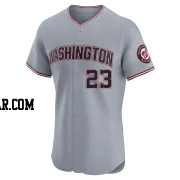 Corey Dickerson Men's Washington Nationals Gray Elite Road Jersey