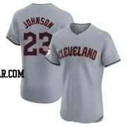 Daniel Johnson Men's Cleveland Guardians Gray Elite Road Jersey