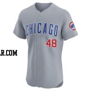 Daniel Palencia Men's Chicago Cubs Gray Elite Road Jersey