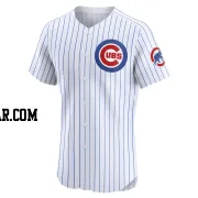 Daniel Palencia Men's Chicago Cubs White Elite Home Jersey