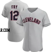 David Fry Men's Cleveland Guardians Gray Authentic Road Jersey