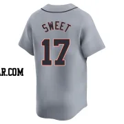 Devin Sweet Youth Detroit Tigers Gray Limited Road Jersey