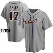 Devin Sweet Youth Detroit Tigers Gray Replica Road Jersey