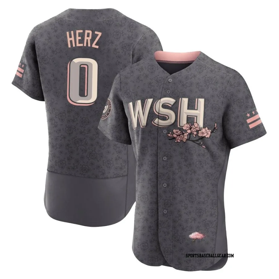 DJ Herz Men's Washington Nationals Gray Authentic 2022 City Connect Jersey