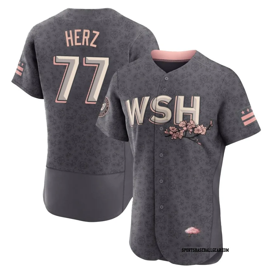 DJ Herz Men's Washington Nationals Gray Authentic 2022 City Connect Jersey