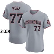 DJ Herz Men's Washington Nationals Gray Elite Road Jersey