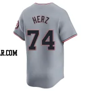 DJ Herz Men's Washington Nationals Gray Limited Road Jersey