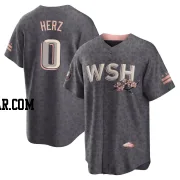 DJ Herz Men's Washington Nationals Gray Replica 2022 City Connect Jersey