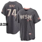 DJ Herz Men's Washington Nationals Gray Replica 2022 City Connect Jersey