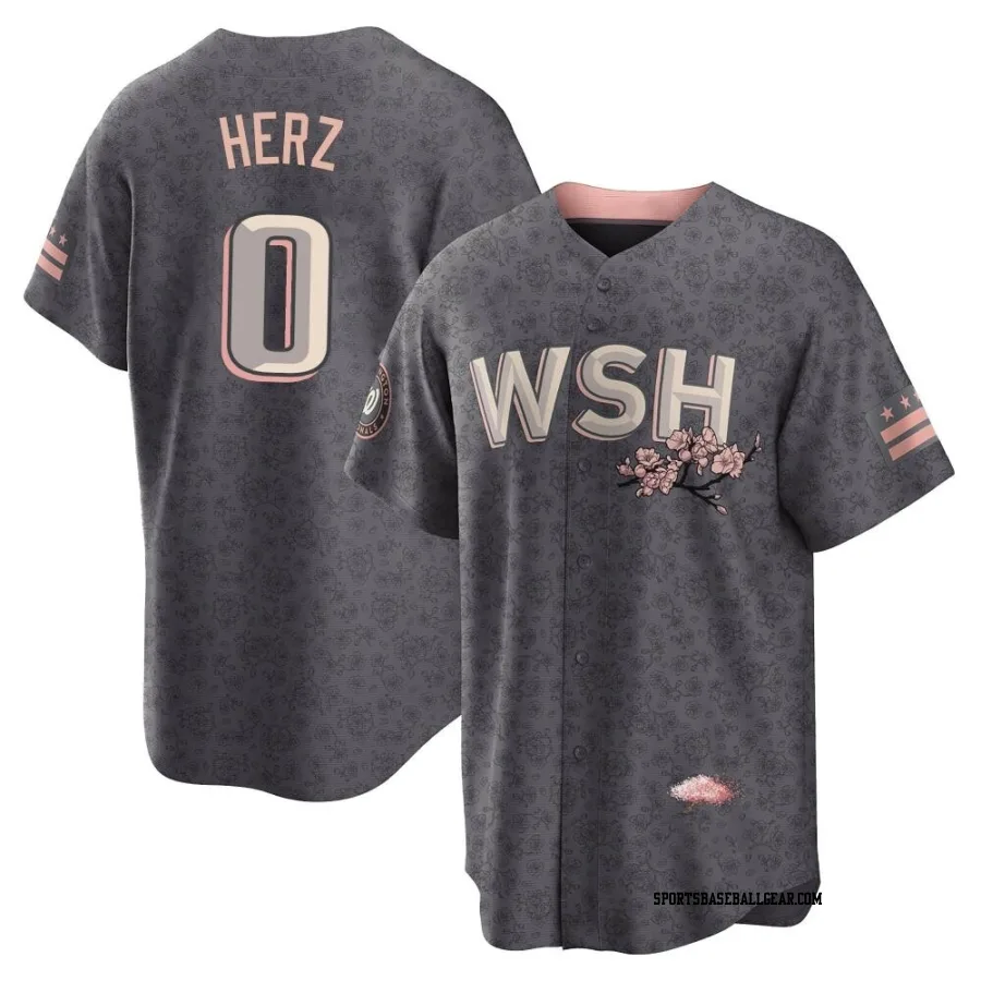 DJ Herz Men's Washington Nationals Gray Replica 2022 City Connect Jersey