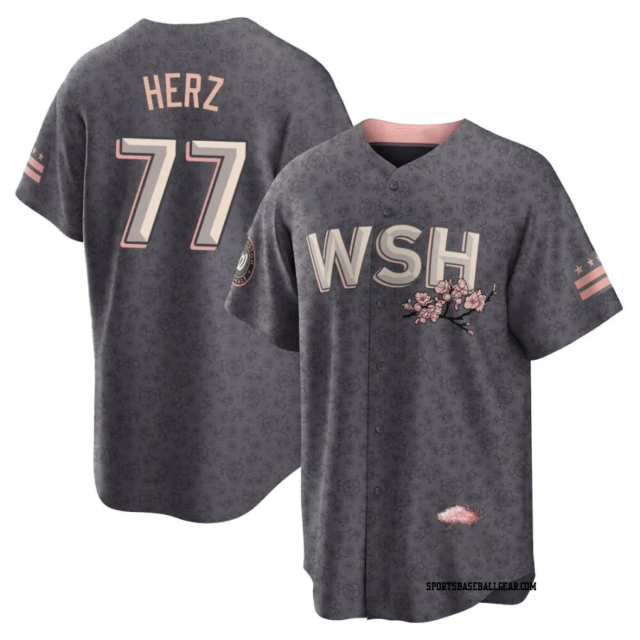 DJ Herz Men's Washington Nationals Gray Replica 2022 City Connect Jersey