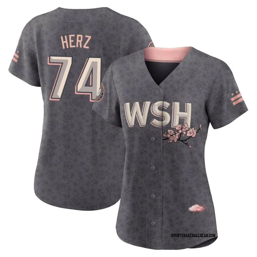 DJ Herz Women's Washington Nationals Gray Authentic 2022 City Connect Jersey