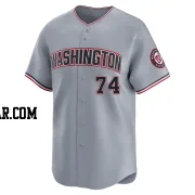 DJ Herz Youth Washington Nationals Gray Limited Road Jersey