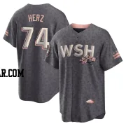 DJ Herz Youth Washington Nationals Gray Replica 2022 City Connect Jersey