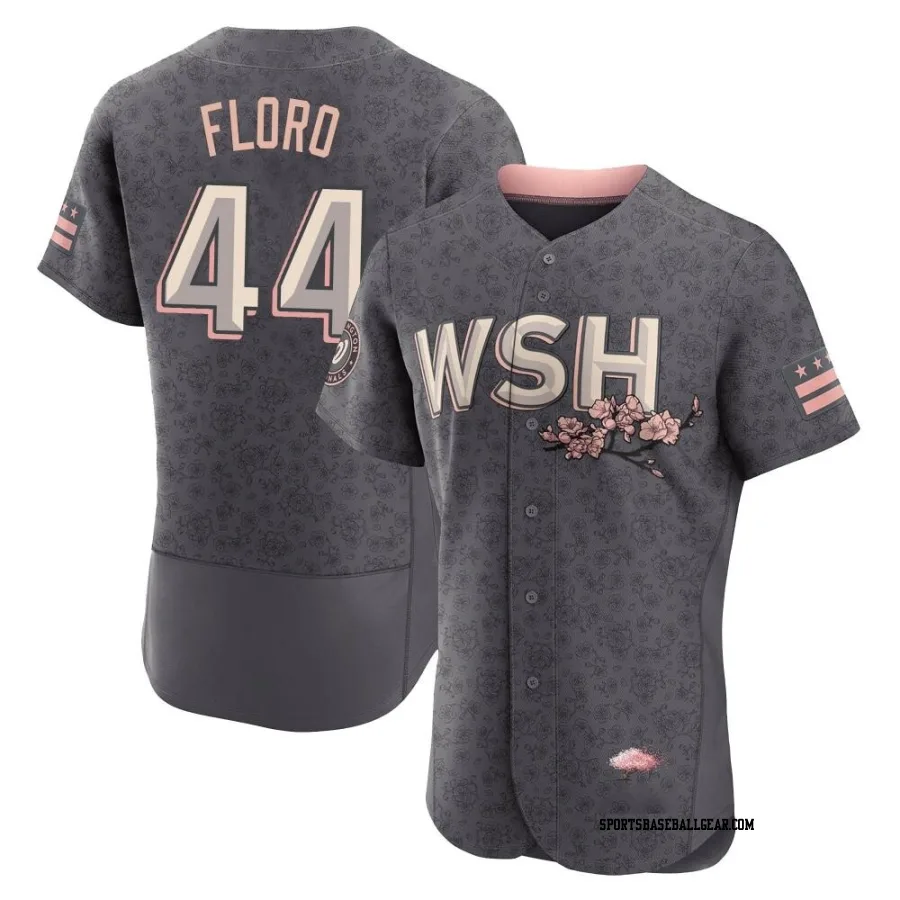 Dylan Floro Men's Washington Nationals Gray Authentic 2022 City Connect Jersey