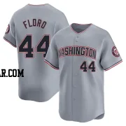 Dylan Floro Youth Washington Nationals Gray Limited Road Jersey