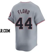 Dylan Floro Youth Washington Nationals Gray Limited Road Jersey