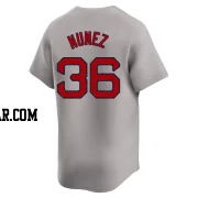 Eduardo Nunez Youth Boston Red Sox Gray Limited Away Jersey