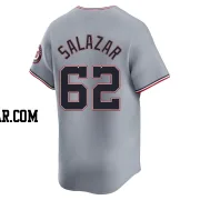 Eduardo Salazar Men's Washington Nationals Gray Limited Road Jersey