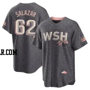 Eduardo Salazar Men's Washington Nationals Gray Replica 2022 City Connect Jersey