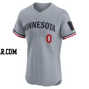 Eiberson Castellano Men's Minnesota Twins Gray Elite Road Jersey