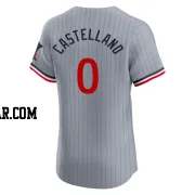 Eiberson Castellano Men's Minnesota Twins Gray Elite Road Jersey