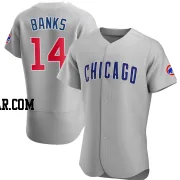 Ernie Banks Men's Chicago Cubs Gray Authentic Road Jersey