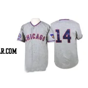 Ernie Banks Men's Chicago Cubs Grey Authentic 1968 Throwback Jersey