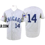 Ernie Banks Men's Chicago Cubs Grey Replica Throwback Jersey