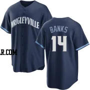 Ernie Banks Men's Chicago Cubs Navy Replica 2021 City Connect Jersey