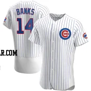 Ernie Banks Men's Chicago Cubs White Authentic Home Jersey