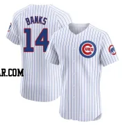 Ernie Banks Men's Chicago Cubs White Elite Home Jersey