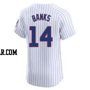 Ernie Banks Men's Chicago Cubs White Elite Home Jersey