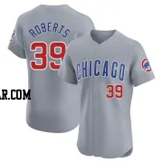 Ethan Roberts Men's Chicago Cubs Gray Elite Road Jersey