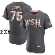 Hobie Harris Men's Washington Nationals Gray Authentic 2022 City Connect Jersey