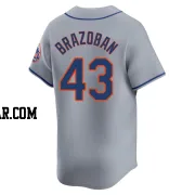 Huascar Brazoban Youth New York Mets Gray Limited Away Jersey