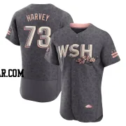 Hunter Harvey Men's Washington Nationals Gray Authentic 2022 City Connect Jersey